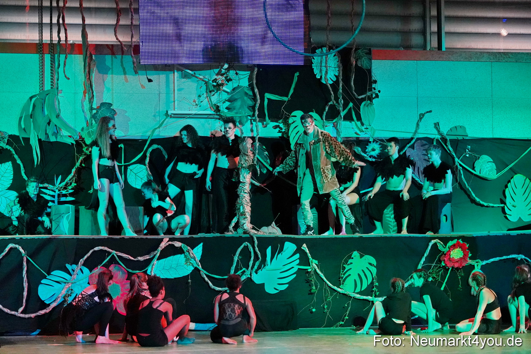 Artico Artistical Dschungelbuch 2020 0138